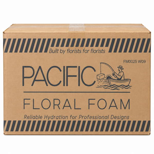 Oasis & Foam