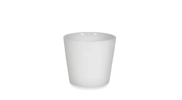 5" Orchid Drop In