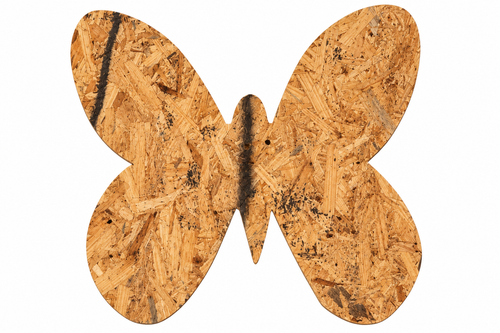 Small Butterfly